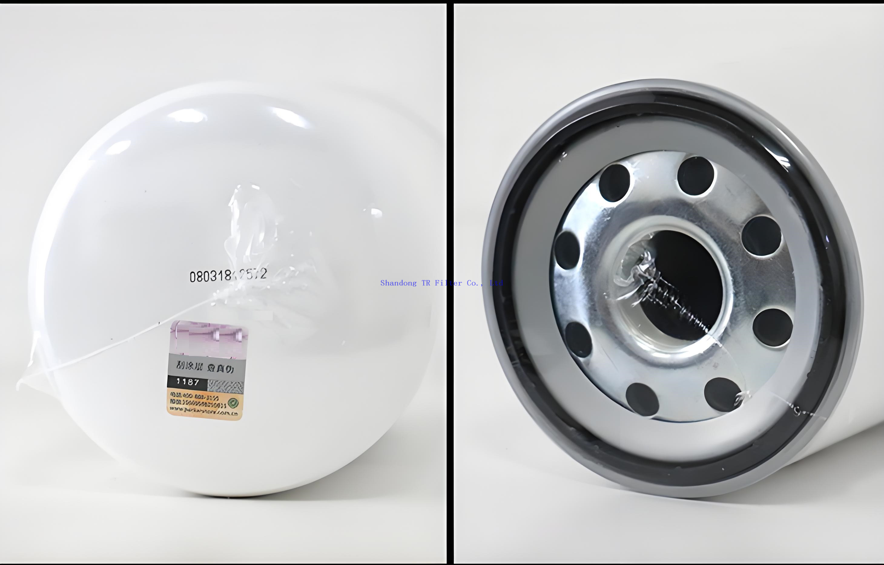 612630080087 Fuel Filter Element